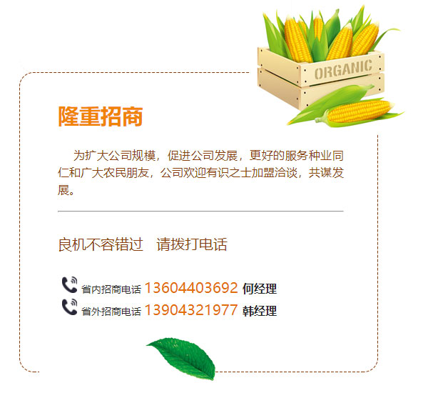 天凡防腐集團(tuán)